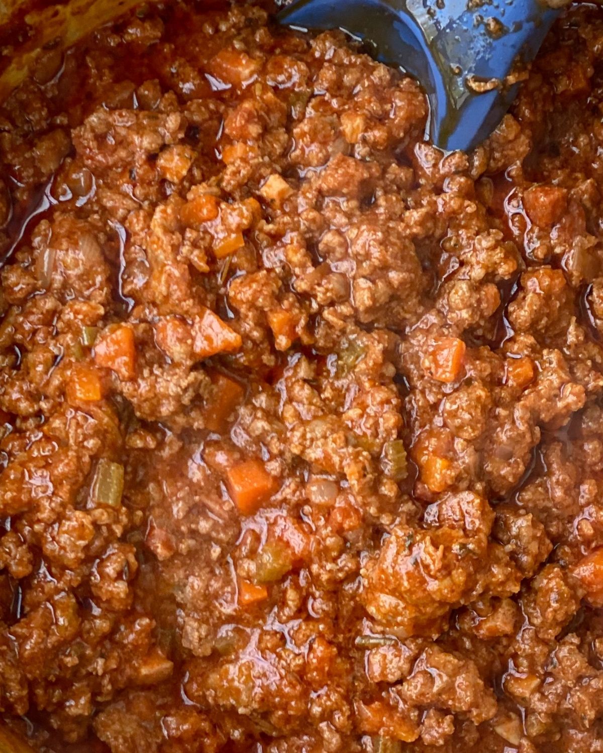 close up picture of the ragu bolognese sauce.